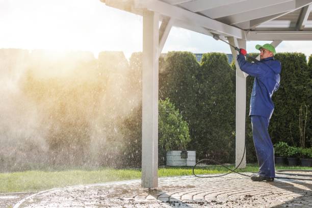 Best Dumpster Area Cleaning  in Rden City, GA